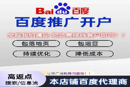 百度SEO与广告结合的多元化推广策略——多行业成功案例